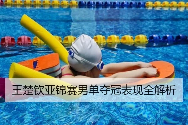 王楚钦亚锦赛男单夺冠表现全解析（ayx.com）